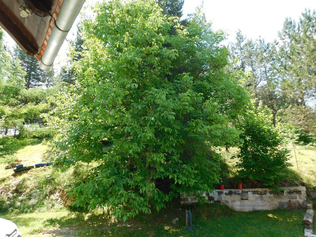 Holiday Home Lana Saborsko Extérieur photo