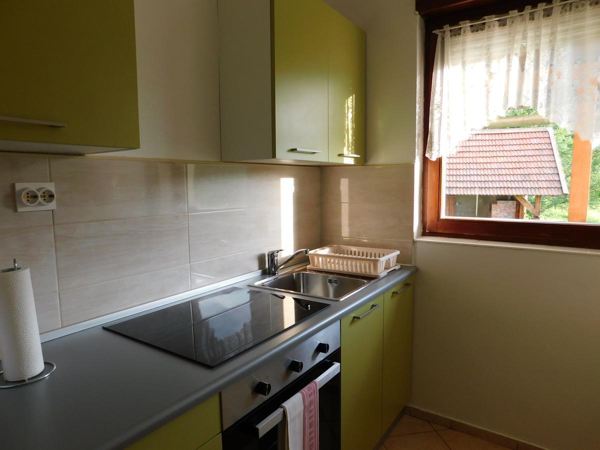 Holiday Home Lana Saborsko Extérieur photo